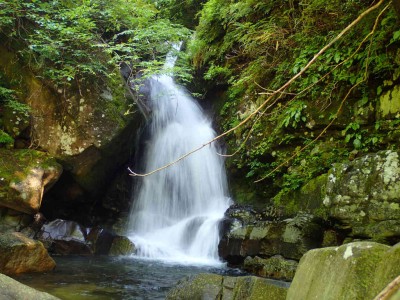 P6010057.jpg (112.18 KiB) 閲覧された回数 1811 回 5m滝