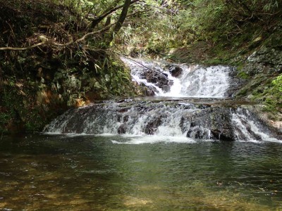 済浄坊の滝上流の滝