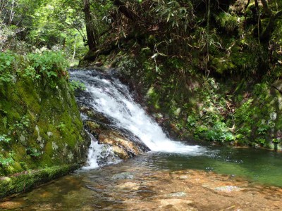 済浄坊の滝上流の滝