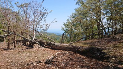 16543107630475(白サコ南 海の見える場所) - コピー.jpg (259.73 KiB) 閲覧された回数 3089 回 白サコの南 海の見える場所