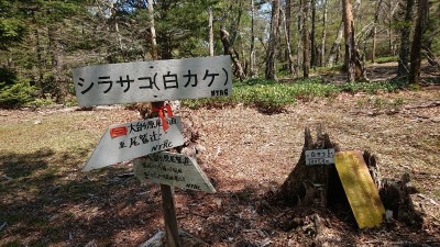 16543101996030(白サコ） - コピー.jpg