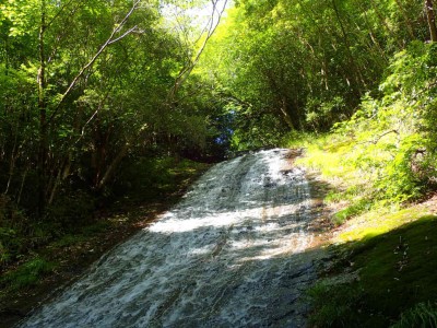 P6080022.jpg (133.73 KiB) 閲覧された回数 1695 回 布引滝