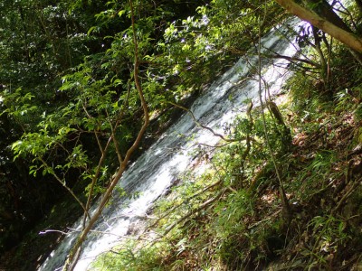 P6080025.jpg (146.76 KiB) 閲覧された回数 1694 回 布引滝を横から見る