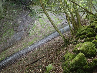 P6080039.jpg (126.96 KiB) 閲覧された回数 1694 回 曽爾大滝下段