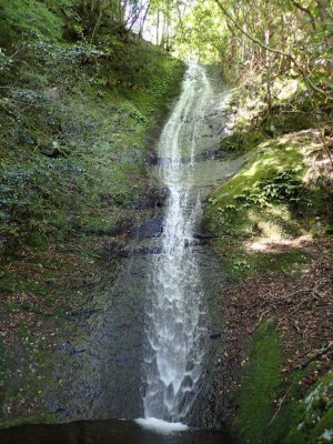 P6080041.jpg (125.31 KiB) 閲覧された回数 1694 回 曽爾大滝上段