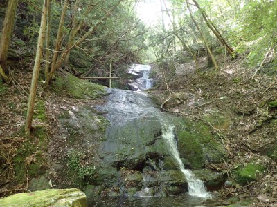 P6080061.jpg (126.09 KiB) 閲覧された回数 1697 回 曽爾大滝上流の10m滝