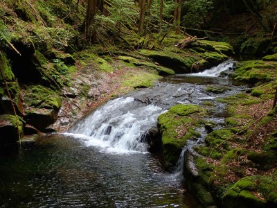 P6080110.jpg (127.67 KiB) 閲覧された回数 1694 回 滝川右俣支流