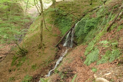 間違えた谷の源頭部