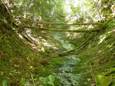 P6290004.jpg (132.71 KiB) 閲覧された回数 1742 回 綺麗なナメ