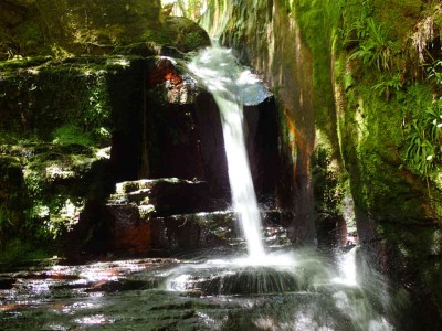 P6290021.jpg (94.1 KiB) 閲覧された回数 1736 回 行動一の滝6m