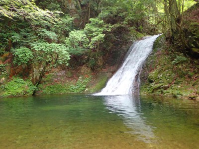 P6310094.jpg (108.75 KiB) 閲覧された回数 1741 回 済浄坊上の滝8m(6月1日撮影)
