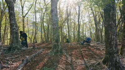 小場 - コピー.jpg