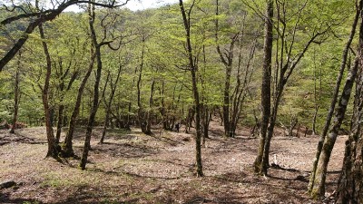 木組峠⑤ - コピー.jpg