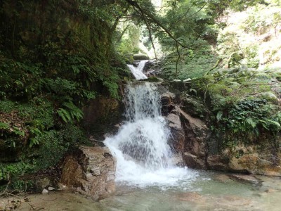 P7070059.jpg (103.69 KiB) 閲覧された回数 2466 回 女郎滝