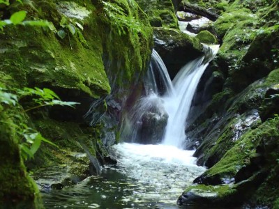 P8010014.jpg (85.98 KiB) 閲覧された回数 2399 回 奥山谷