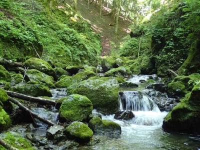 P8010015.jpg (120.99 KiB) 閲覧された回数 2399 回 奥山谷