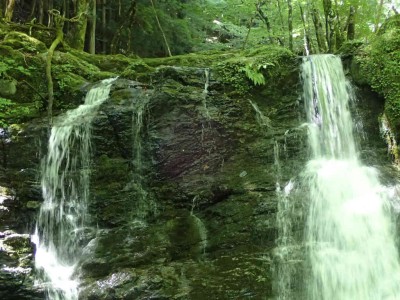 P8010035.jpg (91.76 KiB) 閲覧された回数 2399 回 奥山谷