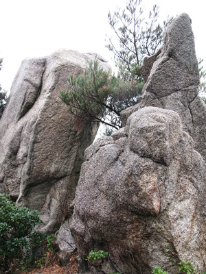 臼岩と杵岩