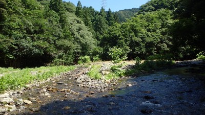 P7304102.jpg (495.7 KiB) 閲覧された回数 3225 回 ナラノ谷分岐