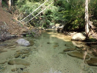 P8090006.jpg (122.88 KiB) 閲覧された回数 2372 回 穏やかな石谷川