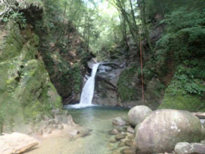 P8090010.jpg (54.14 KiB) 閲覧された回数 2372 回 白糸の滝