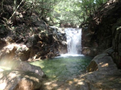 P8090032.jpg (57.16 KiB) 閲覧された回数 2372 回 7m滝