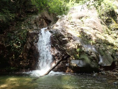 P8090041.jpg (107.48 KiB) 閲覧された回数 2372 回 白雲の滝