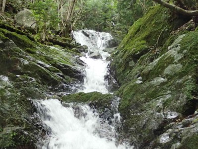 P8260019.jpg (97.49 KiB) 閲覧された回数 6293 回 第一連瀑帯