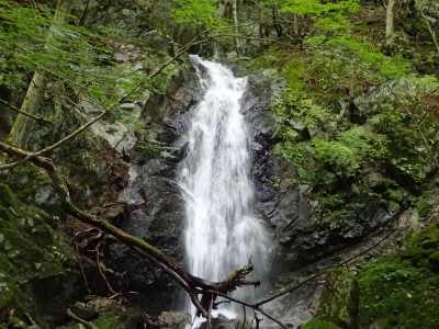 P8260024.jpg (104.69 KiB) 閲覧された回数 7045 回 8m滝