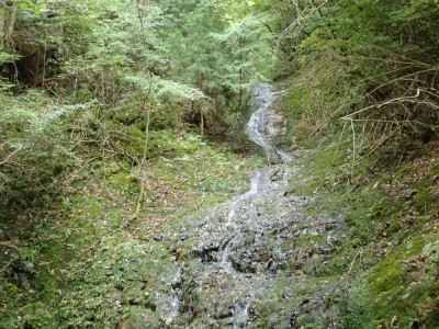 P9070010.jpg (138.72 KiB) 閲覧された回数 1881 回 茶屋滝 下段の滝