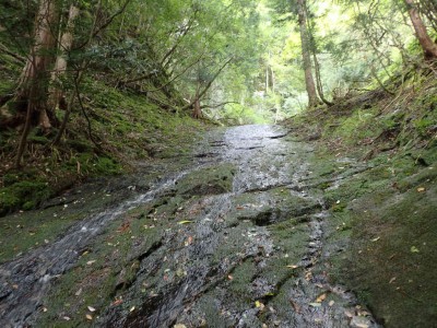 P9070018.jpg (116.65 KiB) 閲覧された回数 1876 回 ナメ