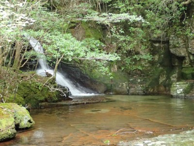 P9070064.jpg (103.09 KiB) 閲覧された回数 1881 回 行動の滝 上段の滝