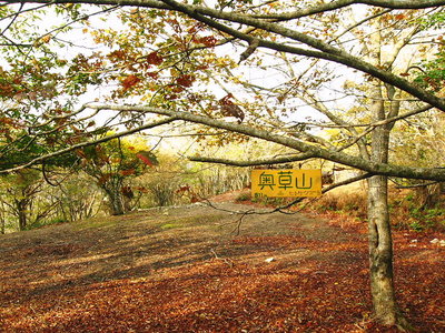 ● 一昨日歩いた、政子山～奥草山～綿向山はＴＷさん向きだワン