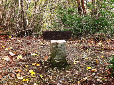 ● 政子山 雑木の中にひっそりと