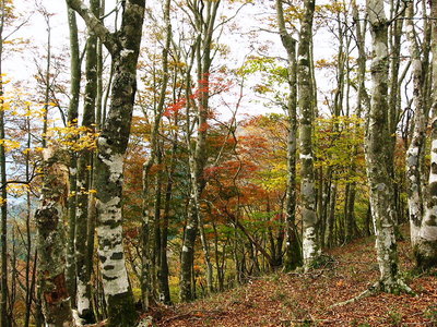 ● 好い色ずきだ、来てよかったな