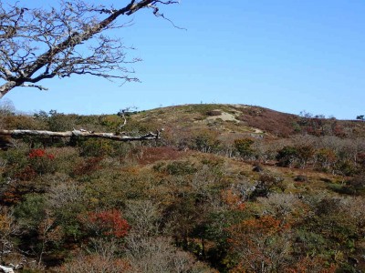 PA260031.jpg (107.74 KiB) 閲覧された回数 4642 回 鈴北岳