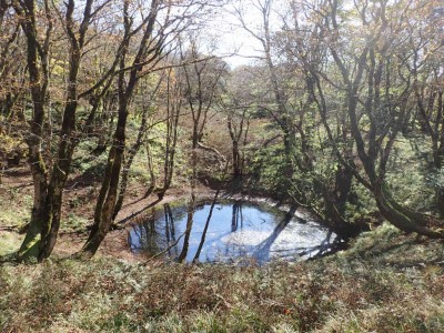 PA260043.jpg (151.88 KiB) 閲覧された回数 4635 回 池