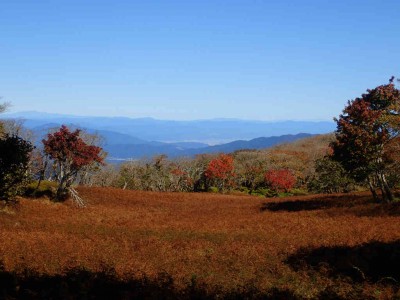 PA260050.jpg (65.37 KiB) 閲覧された回数 4642 回 テーブルランドの草紅葉