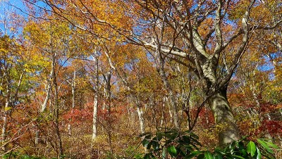 オフ会後またまたテン泊の尾根で