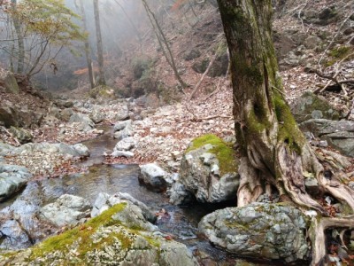 16683412671616 - コピー.jpg