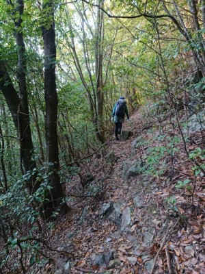 滝への道 - コピー.jpg