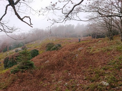 苔辻① - コピー.jpg