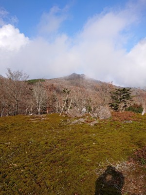 苔辻② - コピー.jpg