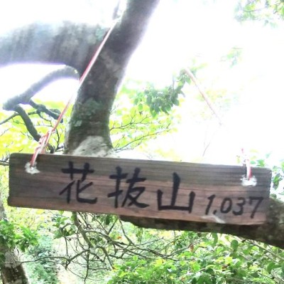 花抜山看板.JPG