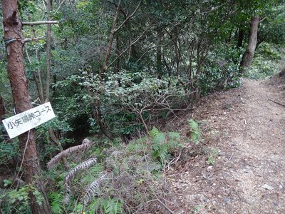石谷川林道にある道標