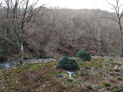 桃源郷 - コピー.jpg