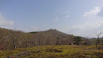 当初、苔辻と思っていた場所（2021年5月撮影）