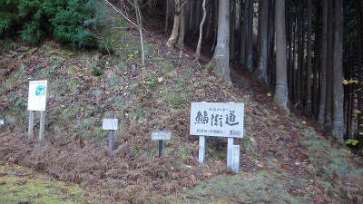 PC120821.jpg (458.6 KiB) 閲覧された回数 2402 回 「鯖街道」分岐