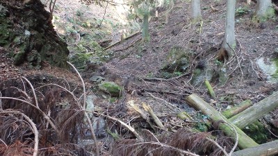 PC120878.jpg (475.1 KiB) 閲覧された回数 2402 回 荒れた谷筋