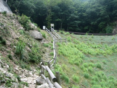 これは瀬戸峠からの道